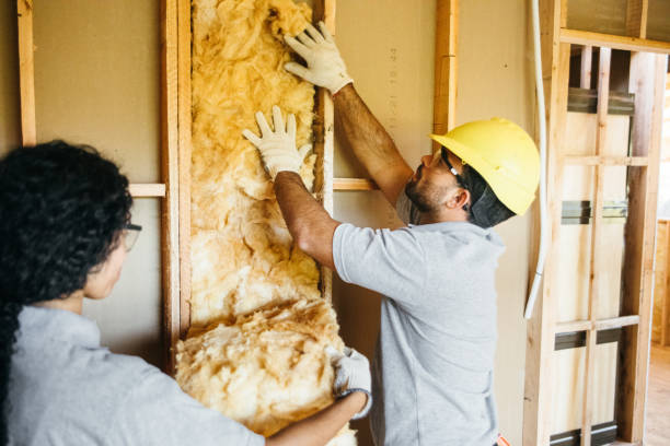 Best Batt and Roll Insulation  in Santa Clara, UT